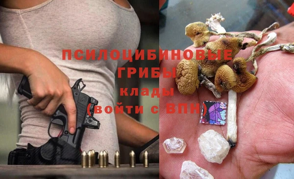 гашик Вязьма