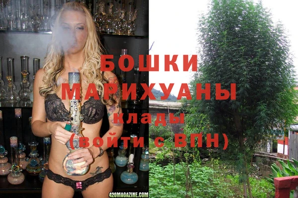 гашик Вязьма