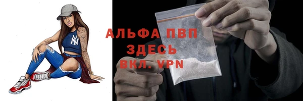 гашик Вязьма
