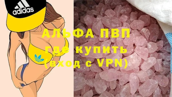 гашик Вязьма