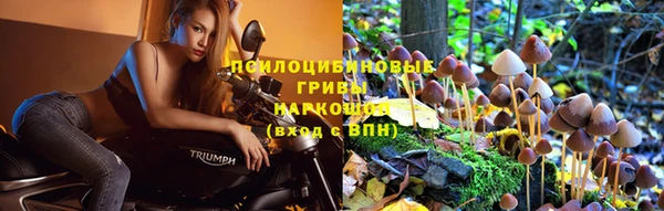 гашик Вязьма