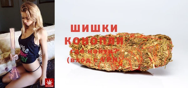 гашик Вязьма