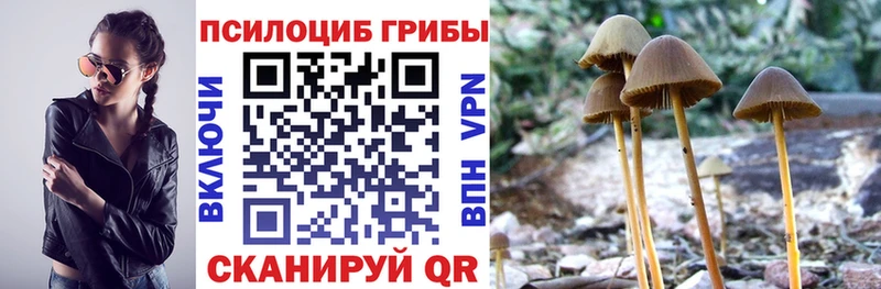 Псилоцибиновые грибы прущие грибы  Купить закладки  Правдинск 